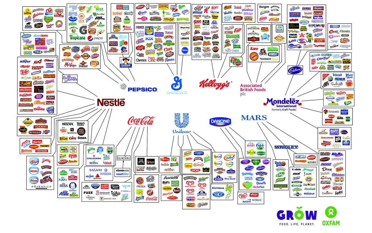 The illusion of choice in big food