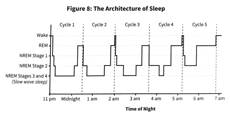image of our sleep architechture