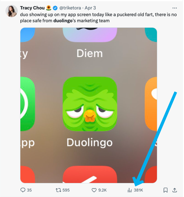 Duo Lingo Owl