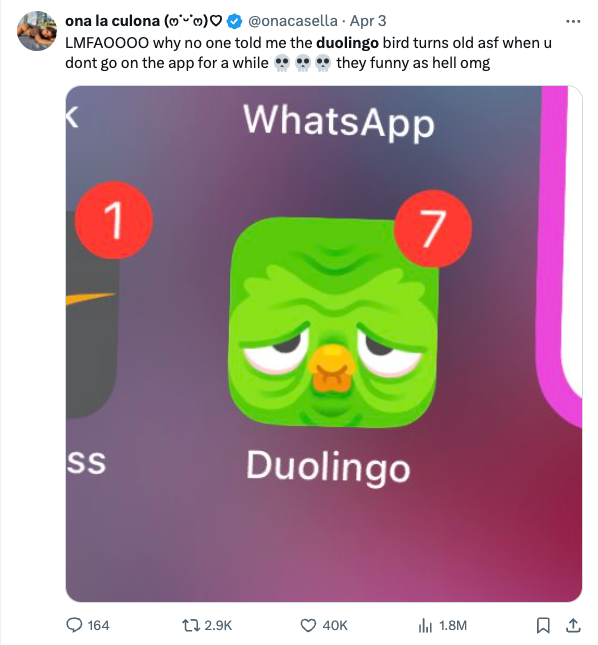 Duo Lingo Owl 3