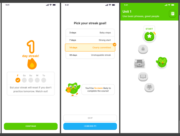 Duo Lingo Owl 4