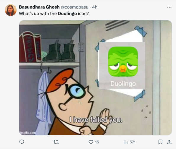 Duo Lingo Owl 5