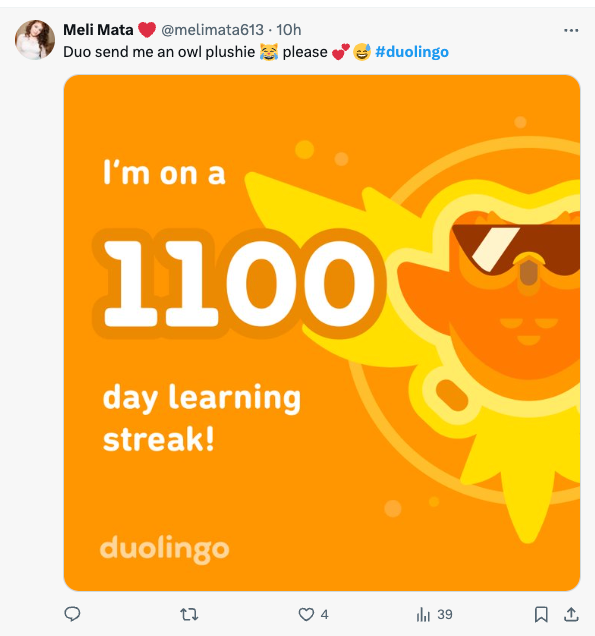 Duo Lingo Owl 6