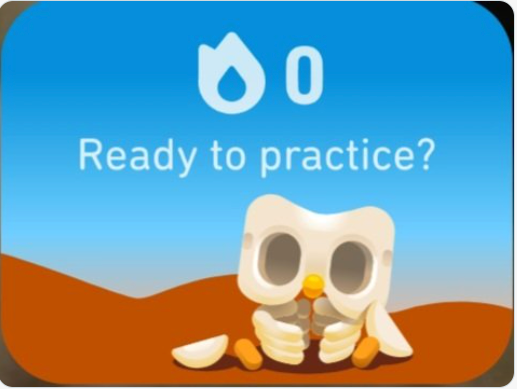 Duo Lingo Owl 7